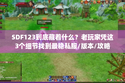 SDF123到底藏着什么？老玩家凭这3个细节找到最稳私服/版本/攻略