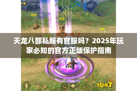天龙八部私服有官服吗？2025年玩家必知的官方正版保护指南