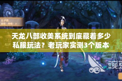 天龙八部收美系统到底藏着多少私服玩法？老玩家实测3个版本揭密