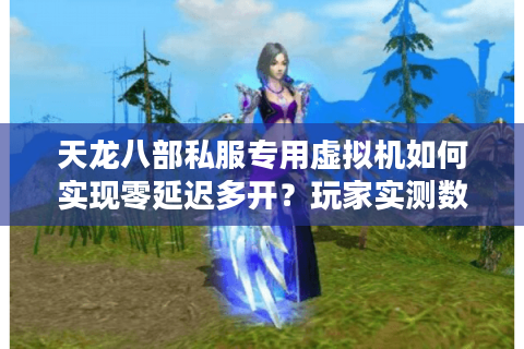 天龙八部私服专用虚拟机如何实现零延迟多开？玩家实测数据揭秘