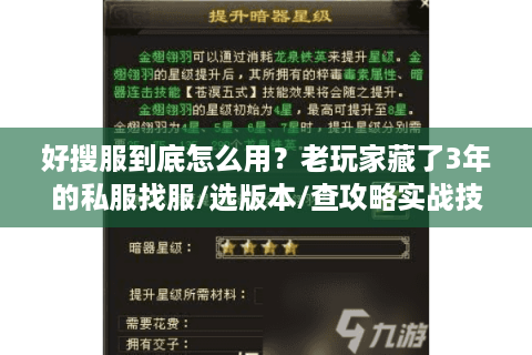 好搜服到底怎么用？老玩家藏了3年的私服找服/选版本/查攻略实战技巧