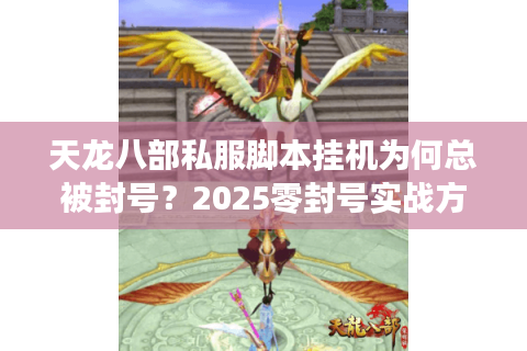 天龙八部私服脚本挂机为何总被封号？2025零封号实战方案揭秘