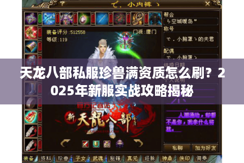 天龙八部私服珍兽满资质怎么刷？2025年新服实战攻略揭秘