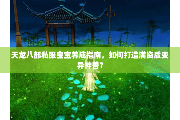 天龙八部私服宝宝养成指南，如何打造满资质变异神兽？