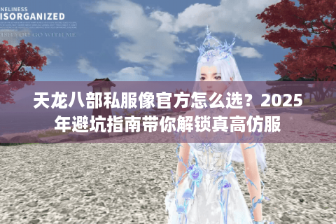 天龙八部私服像官方怎么选？2025年避坑指南带你解锁真高仿服