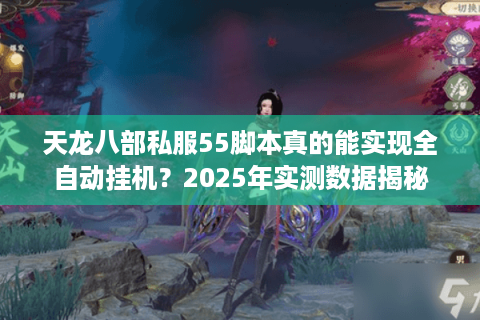 天龙八部私服55脚本真的能实现全自动挂机？2025年实测数据揭秘