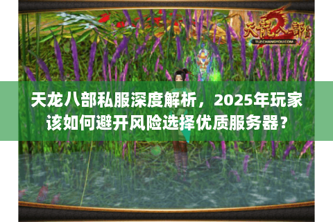 天龙八部私服深度解析，2025年玩家该如何避开风险选择优质服务器？