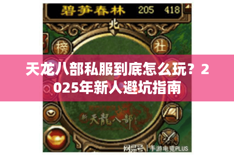 天龙八部私服到底怎么玩？2025年新人避坑指南