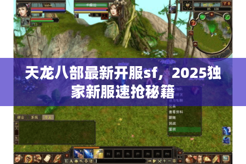天龙八部最新开服sf，2025独家新服速抢秘籍
