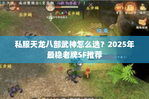 私服天龙八部武神怎么选？2025年最稳老牌SF推荐