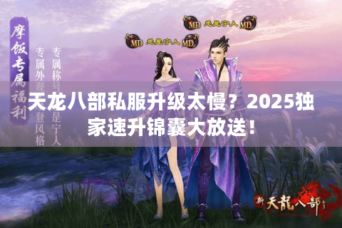 天龙八部私服升级太慢？2025独家速升锦囊大放送！