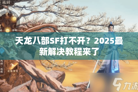 天龙八部SF打不开？2025最新解决教程来了