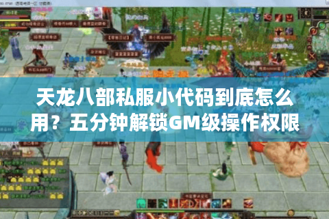 天龙八部私服小代码到底怎么用?五分钟解锁GM级操作权限 天龙八部私服小代码到底怎么用?五分钟解锁GM级操作权限