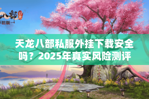 天龙八部私服外挂下载安全吗？2025年真实风险测评