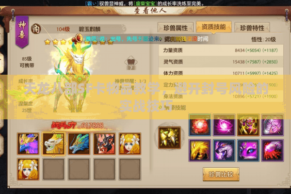 天龙八部SF卡物品教学，避开封号风险的实战技巧