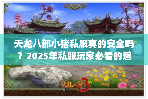 天龙八部小猪私服真的安全吗？2025年私服玩家必看的避坑指南
