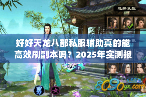 好好天龙八部私服辅助真的能高效刷副本吗？2025年实测报告