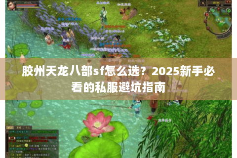 胶州天龙八部sf怎么选？2025新手必看的私服避坑指南