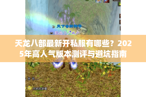 天龙八部最新开私服有哪些？2025年高人气版本测评与避坑指南