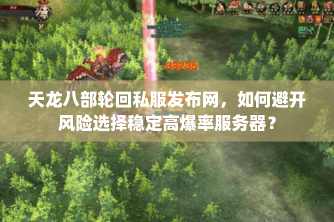 天龙八部轮回私服发布网，如何避开风险选择稳定高爆率服务器？