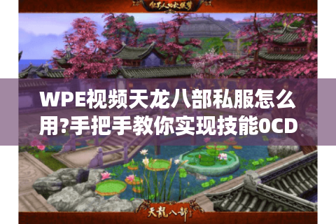 WPE视频天龙八部私服怎么用?手把手教你实现技能0CD与经验倍率修改 WPE视频天龙八部私服怎么用?手把手教你实现技能0CD与经验倍率修改