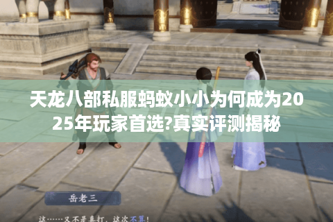 天龙八部私服蚂蚁小小为何成为2025年玩家首选?真实评测揭秘