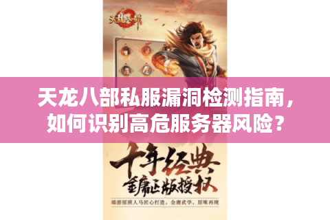 天龙八部私服漏洞检测指南，如何识别高危服务器风险？