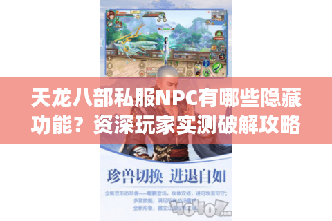 天龙八部私服NPC有哪些隐藏功能？资深玩家实测破解攻略