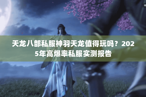 天龙八部私服神羽天龙值得玩吗？2025年高爆率私服实测报告