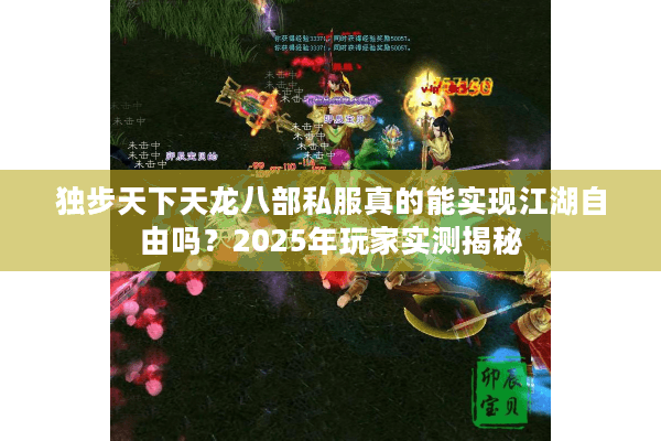 独步天下天龙八部私服真的能实现江湖自由吗？2025年玩家实测揭秘