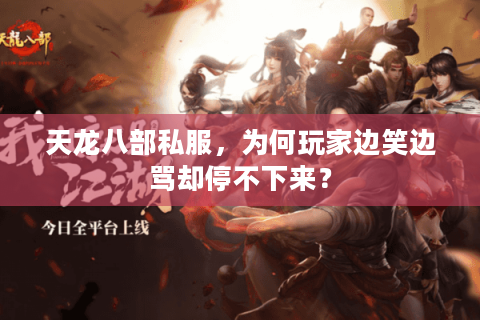 天龙八部私服，为何玩家边笑边骂却停不下来？