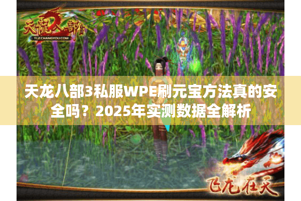 天龙八部3私服WPE刷元宝方法真的安全吗？2025年实测数据全解析