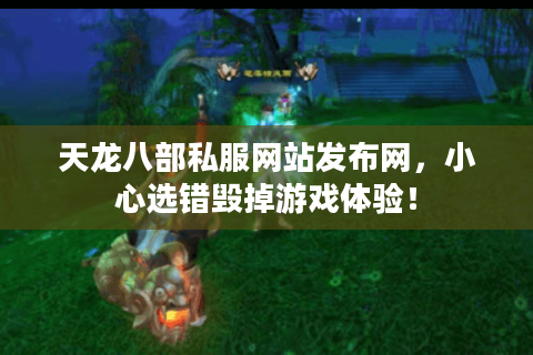 天龙八部私服网站发布网，小心选错毁掉游戏体验！