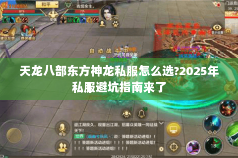 天龙八部东方神龙私服怎么选?2025年私服避坑指南来了