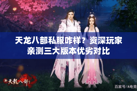 天龙八部私服咋样？资深玩家亲测三大版本优劣对比