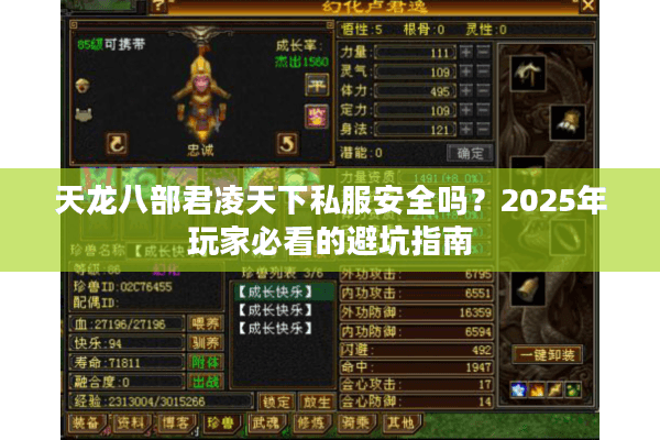 天龙八部君凌天下私服安全吗？2025年玩家必看的避坑指南