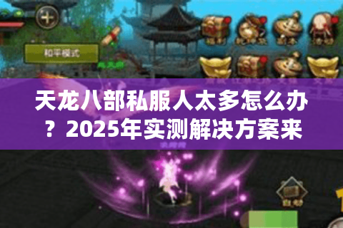 天龙八部私服人太多怎么办？2025年实测解决方案来了