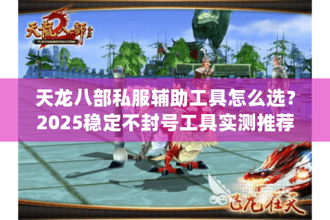 天龙八部私服辅助工具怎么选？2025稳定不封号工具实测推荐