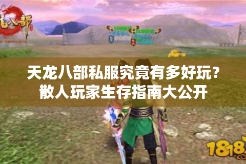 天龙八部私服究竟有多好玩？散人玩家生存指南大公开