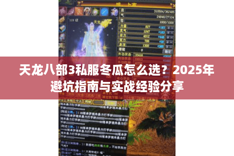 天龙八部3私服冬瓜怎么选？2025年避坑指南与实战经验分享