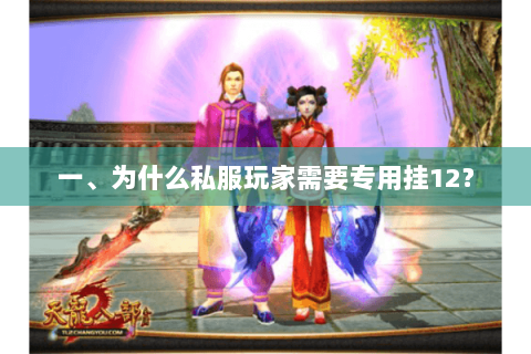 一、为什么私服玩家需要专用挂12？