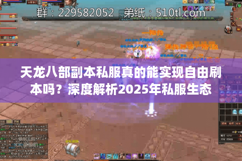 天龙八部副本私服真的能实现自由刷本吗？深度解析2025年私服生态