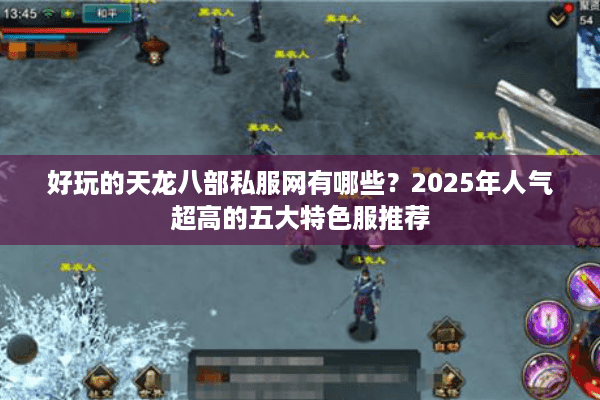 好玩的天龙八部私服网有哪些？2025年人气超高的五大特色服推荐