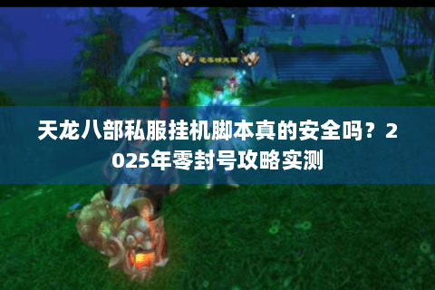 天龙八部私服挂机脚本真的安全吗？2025年零封号攻略实测