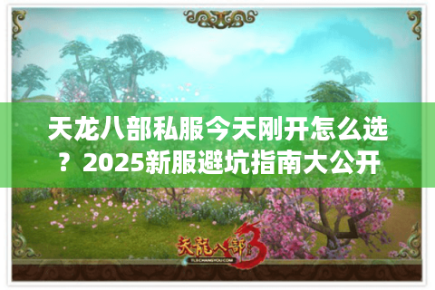 天龙八部私服今天刚开怎么选？2025新服避坑指南大公开