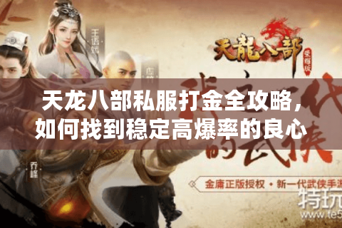天龙八部私服打金全攻略，如何找到稳定高爆率的良心服务器？