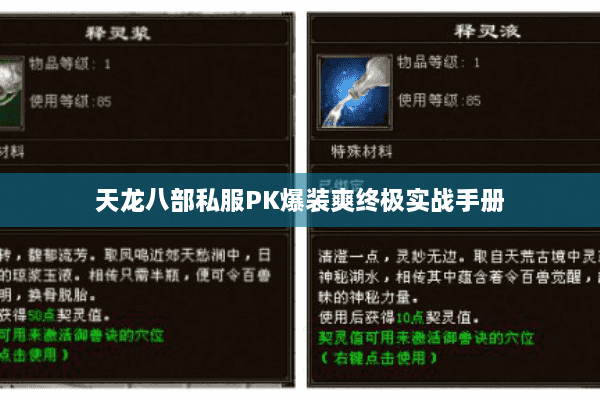 天龙八部私服PK爆装爽终极实战手册 天龙八部私服PK爆装爽终极实战手册