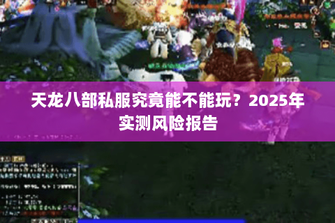 天龙八部私服究竟能不能玩？2025年实测风险报告