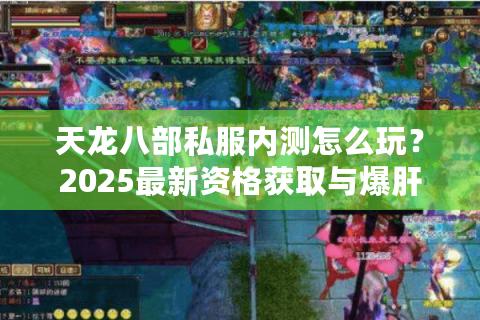 天龙八部私服内测怎么玩？2025最新资格获取与爆肝攻略