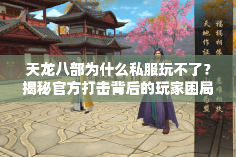 天龙八部为什么私服玩不了？揭秘官方打击背后的玩家困局